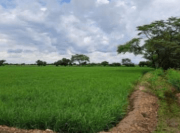 Propiedad